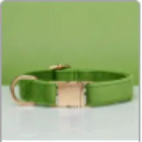 Multiple Colour Velvet Personalise Dog Collar Leash Set With Bow (Option: Green-S)
