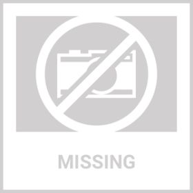 Qeils Washable Pee Pads For Dogs, 2 Pack Reusable Puppy Pads 36x41  Super Absorbent Leakproof Dog Training Pads, Non-Slip Potty Pads For Floor, C (Option: 2PCS)