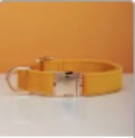 Multiple Colour Velvet Personalise Dog Collar Leash Set With Bow (Option: Yellow-M)